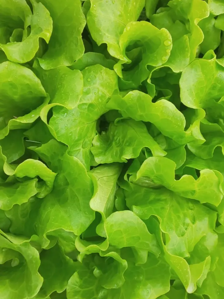 StoutArm6073의 囚人になりたかったたや(CRですぅ）