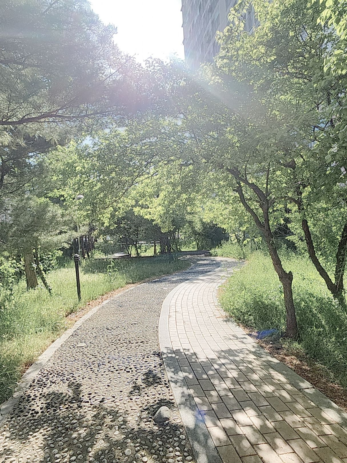 이즈나 - 여행 대표 이미지