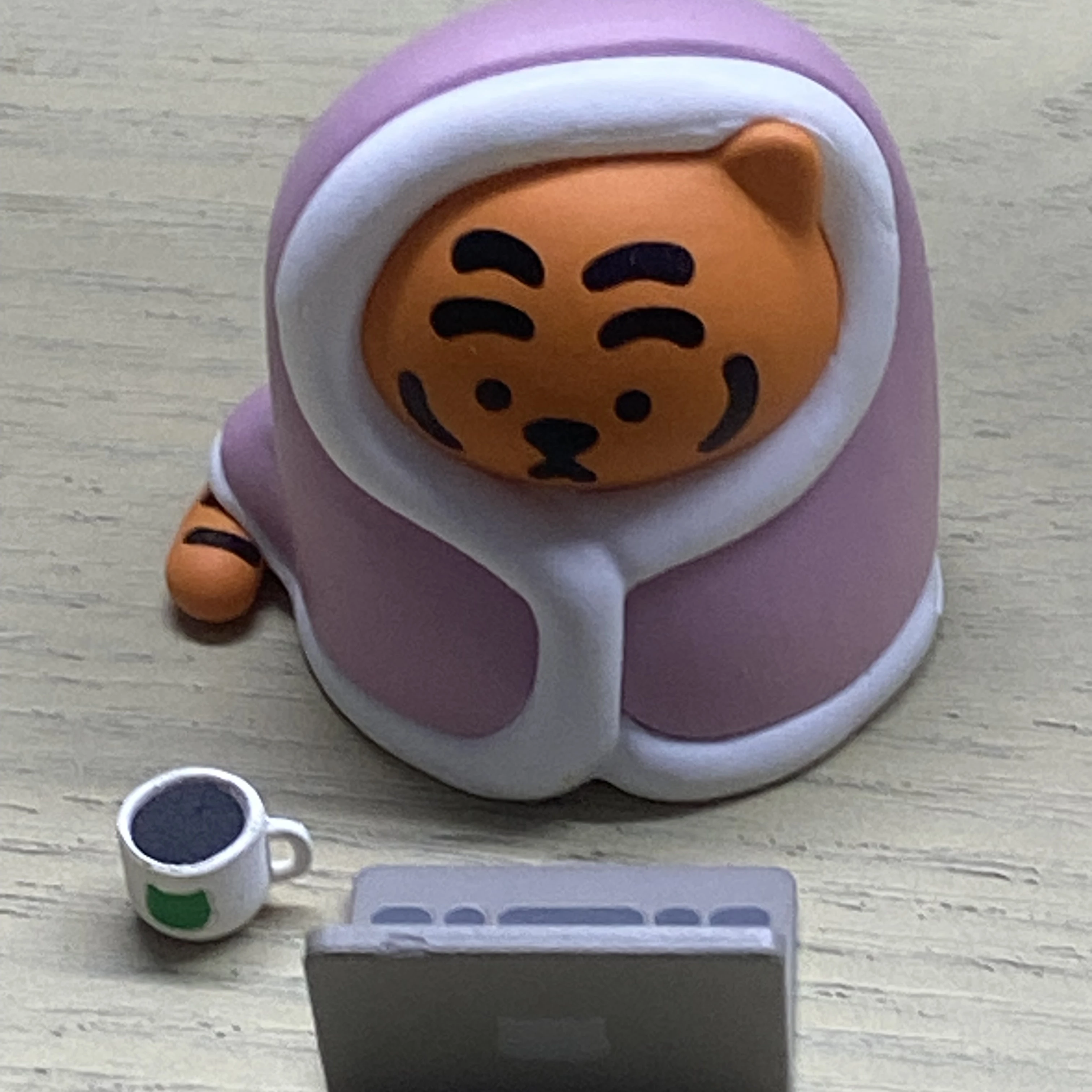 호랑이 길들이기🐯