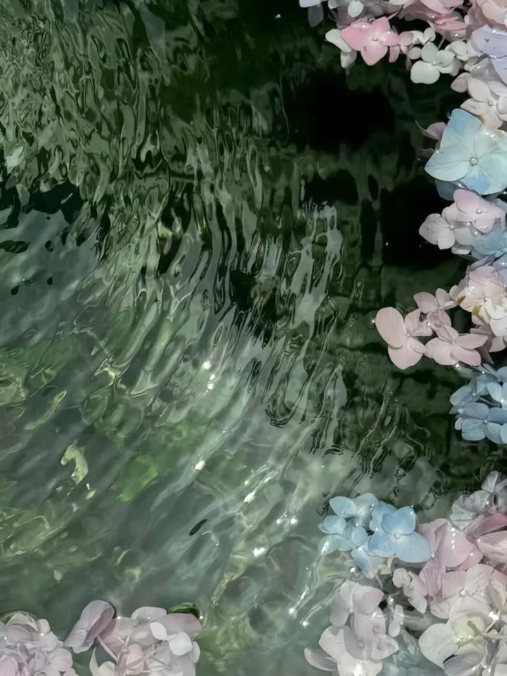 Whatisprecioustoyou의 일방적 사랑