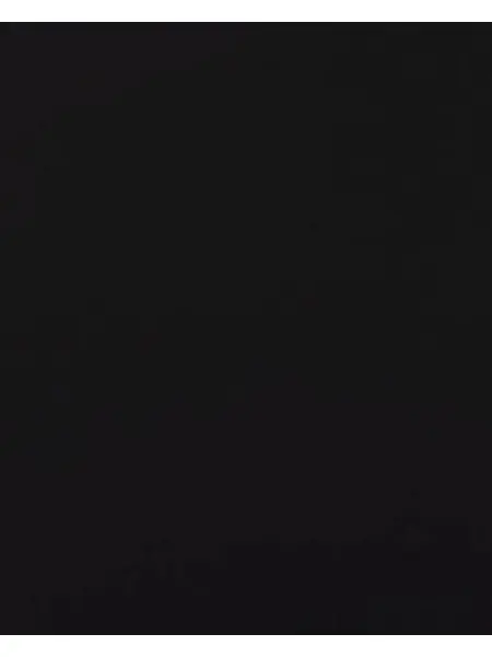 IllApple1481의 桜の精霊と日本家