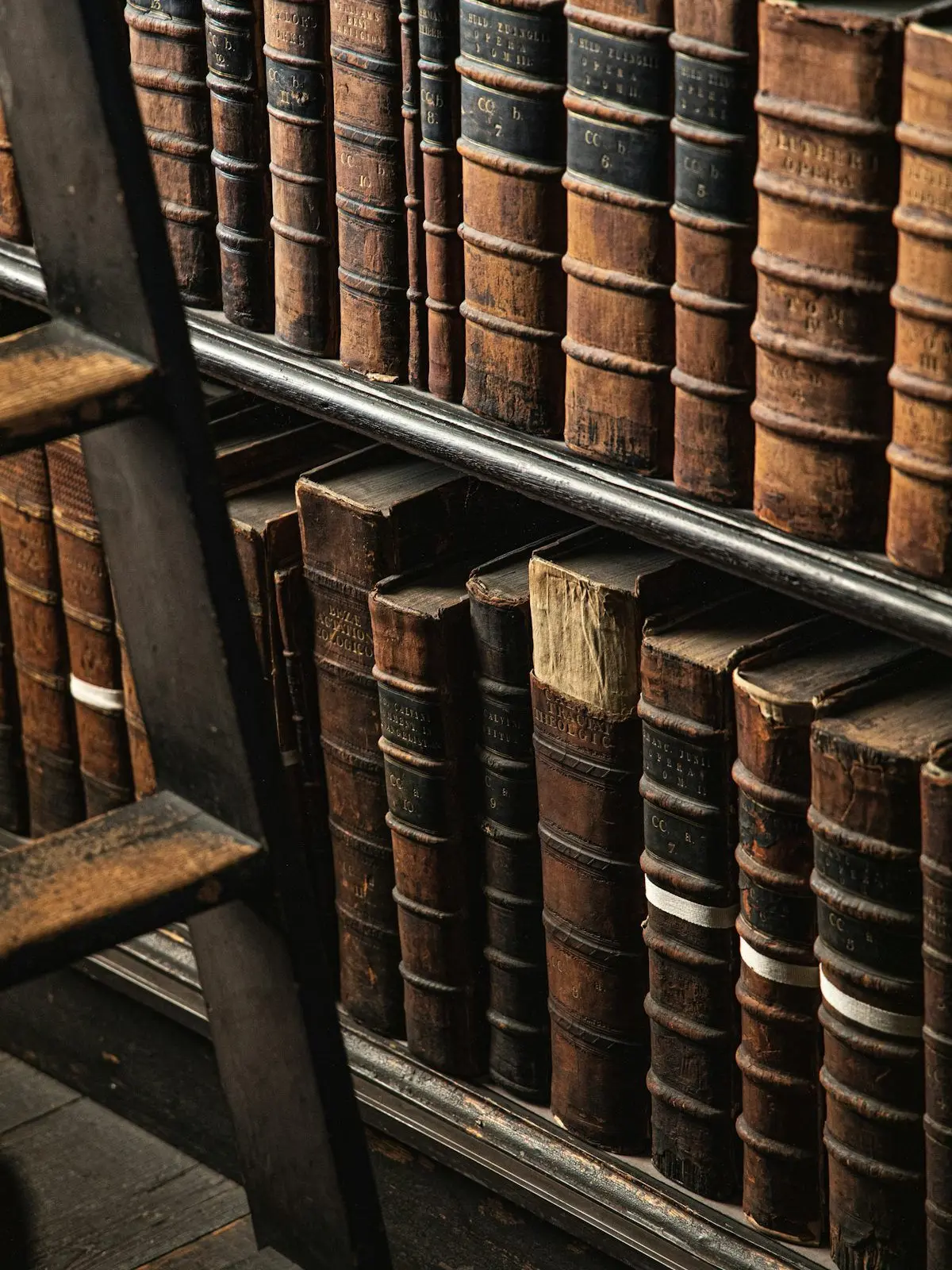 FaintCold7018의 시라나카