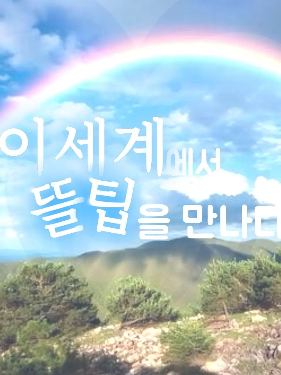 SicklySeal9837의 이세계에서 뜰팁을 만나다?