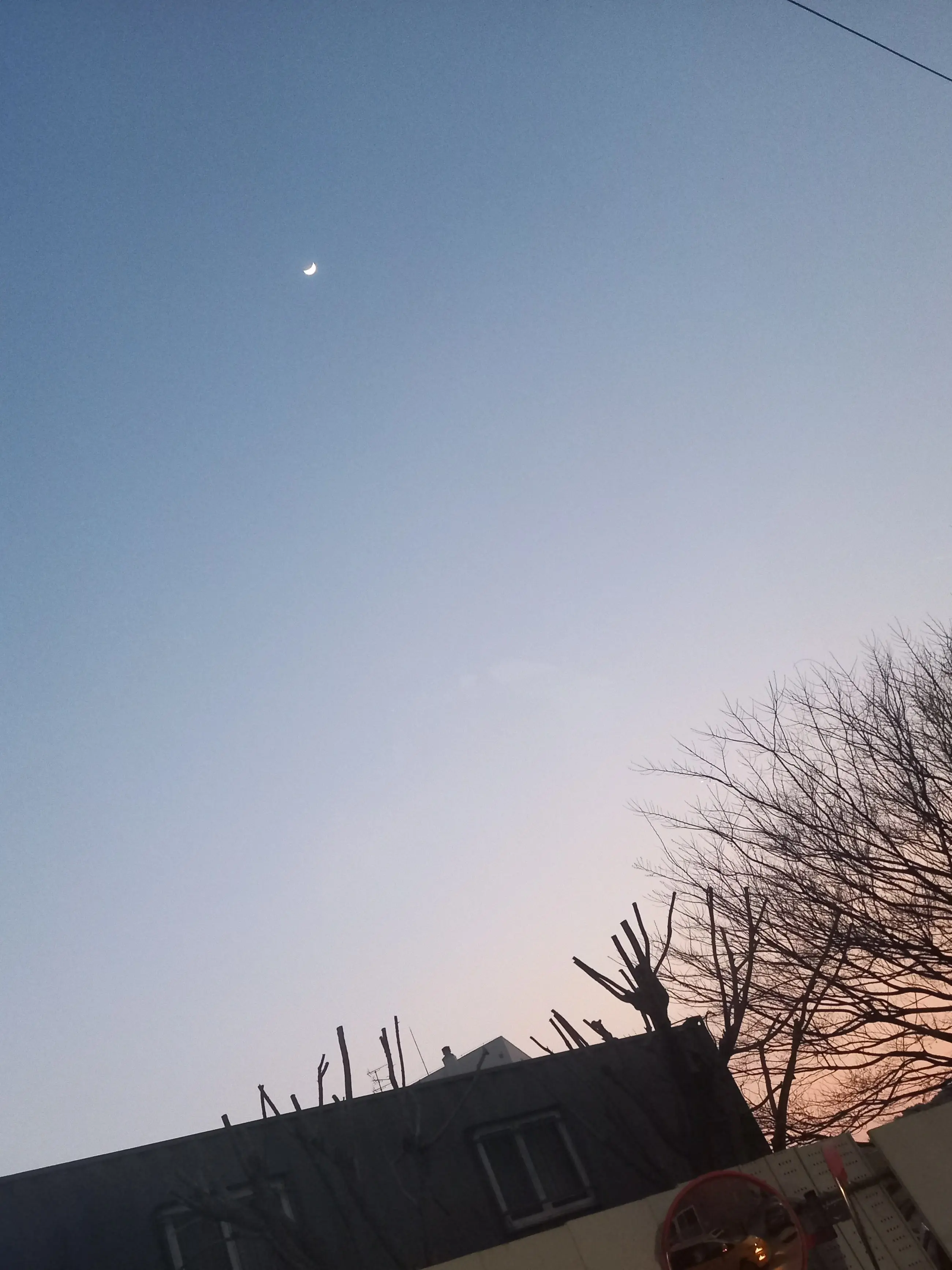 EarlyWell6071의 "어서오세요 웨퍼니 시티에!"