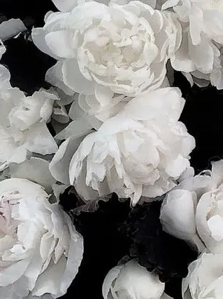 XoX....의 9月1日を繰り返す