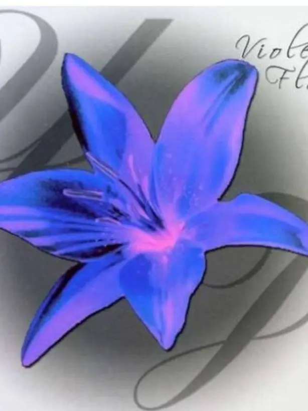 FickleBolt8668의 !☆천사형제☆!