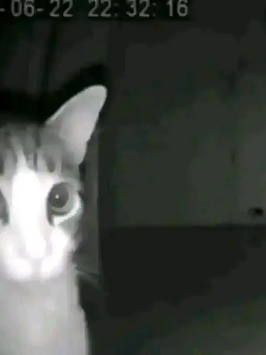 ToughCart8580의 Sprout’s bad day.