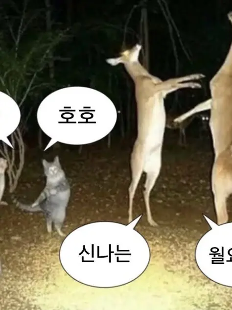 FinalCrow7688의 요일들과 동거생활