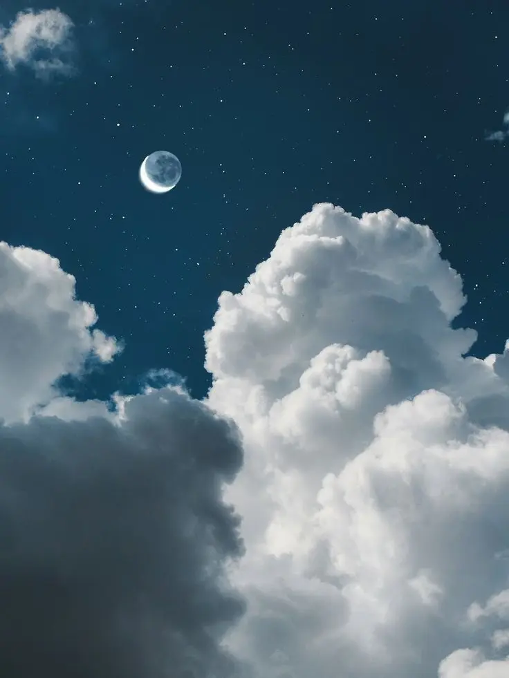 ScaredDew5331의 平凡な毎日   .¿?