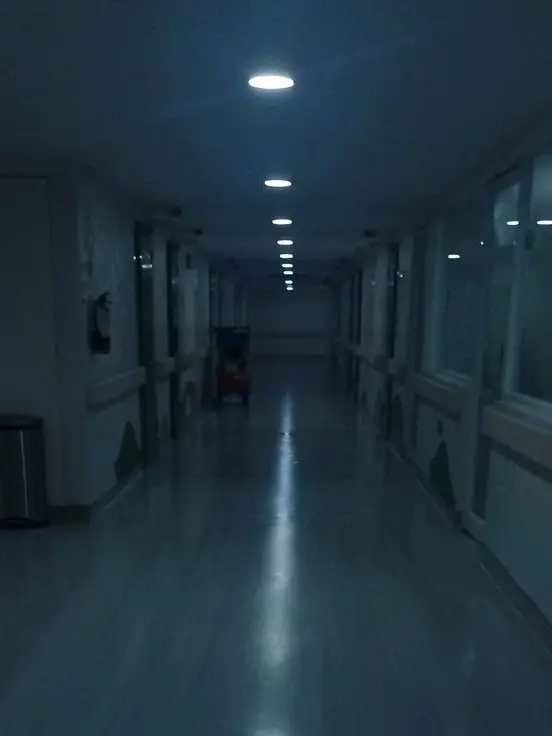 bun_un08의 쓴맛의 배신과 피투성이 송곳니