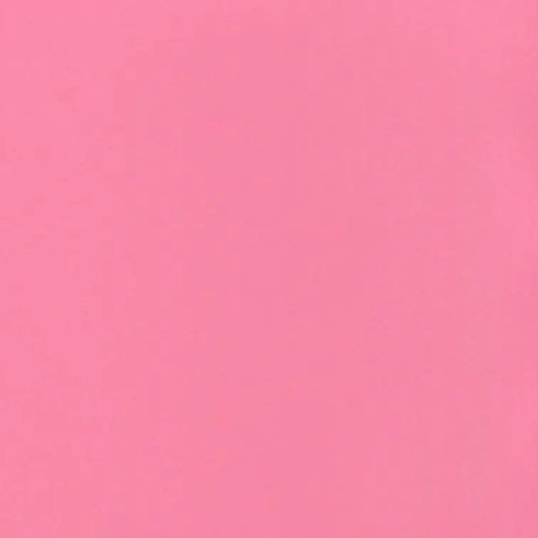 untiburiburi의 飼い猫が？！