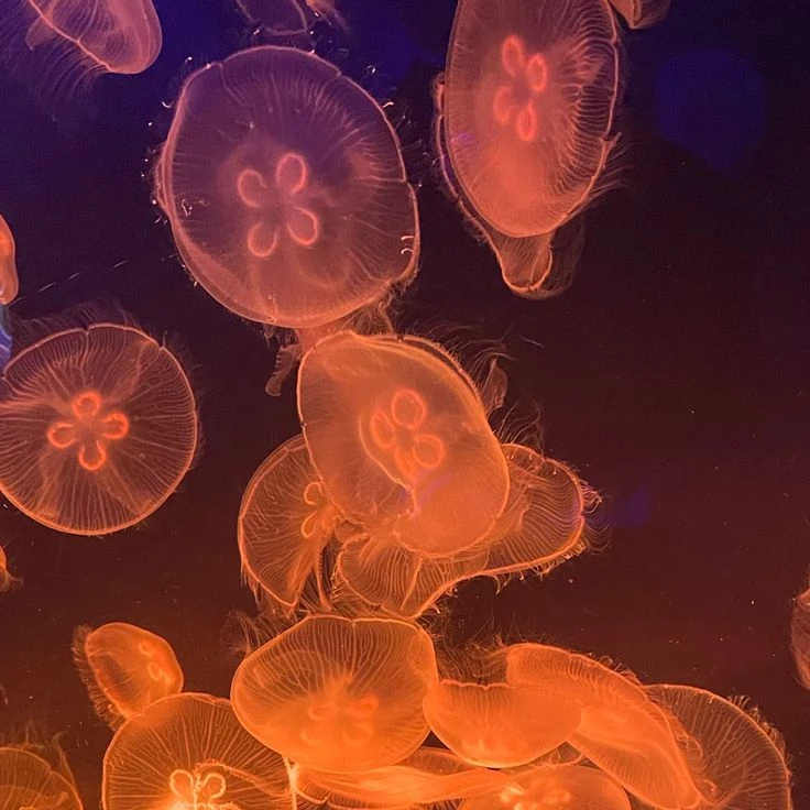 인간을 싫어하고도. 너무 싫어해서-