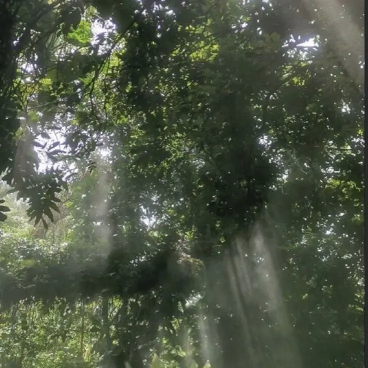 onley_love_Lowell의 조선 요괴 au