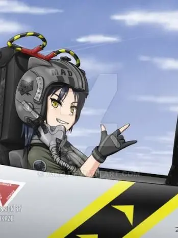 SmallStore0279의 Fighter pilot