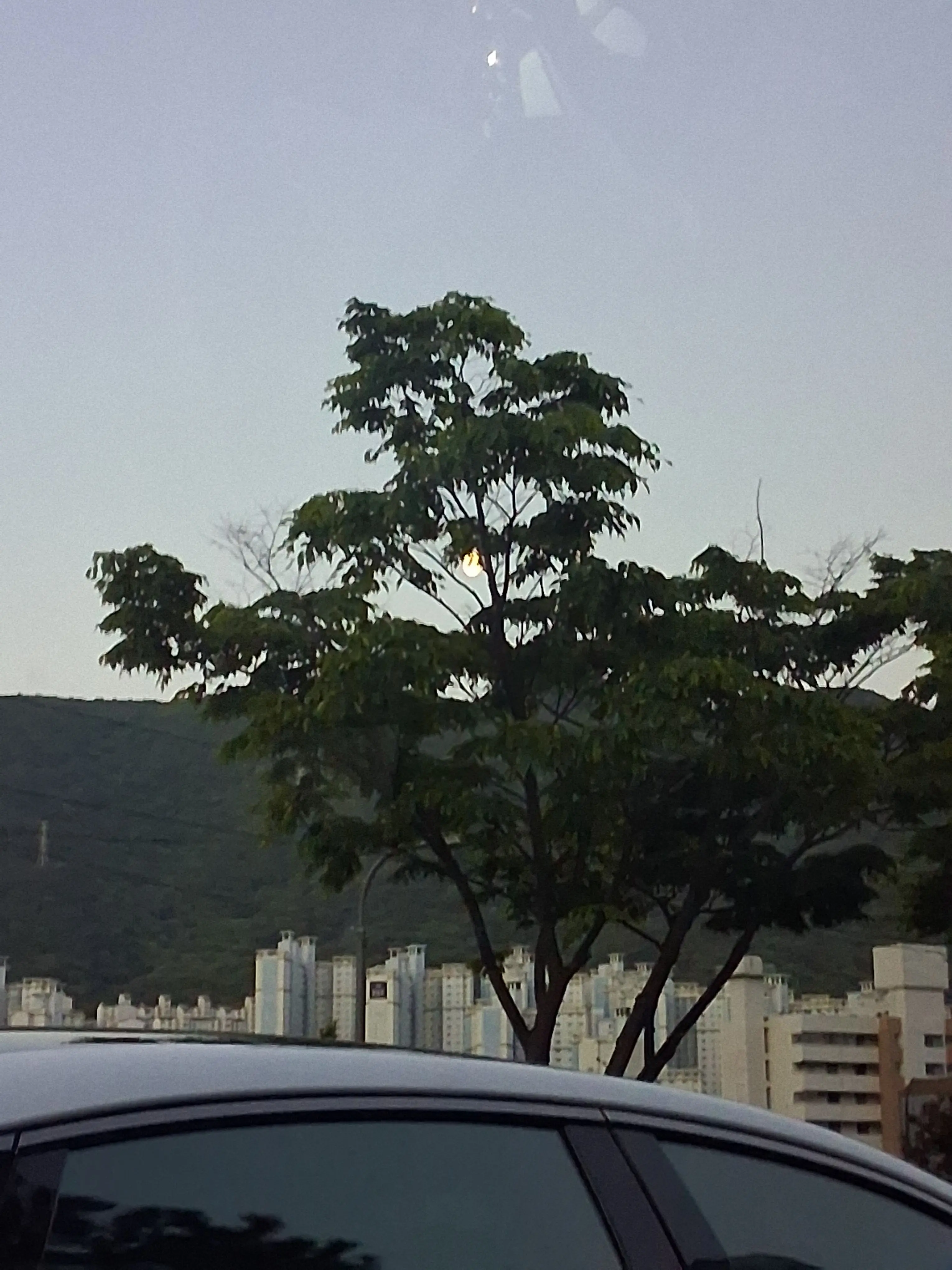 ShabbyStork9657의 김서진 (여자)