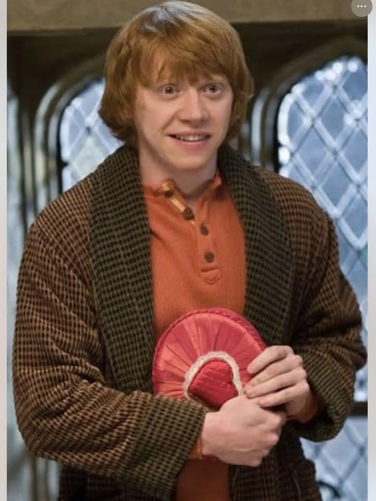 SpikyDouc5906의 Ron Weasley