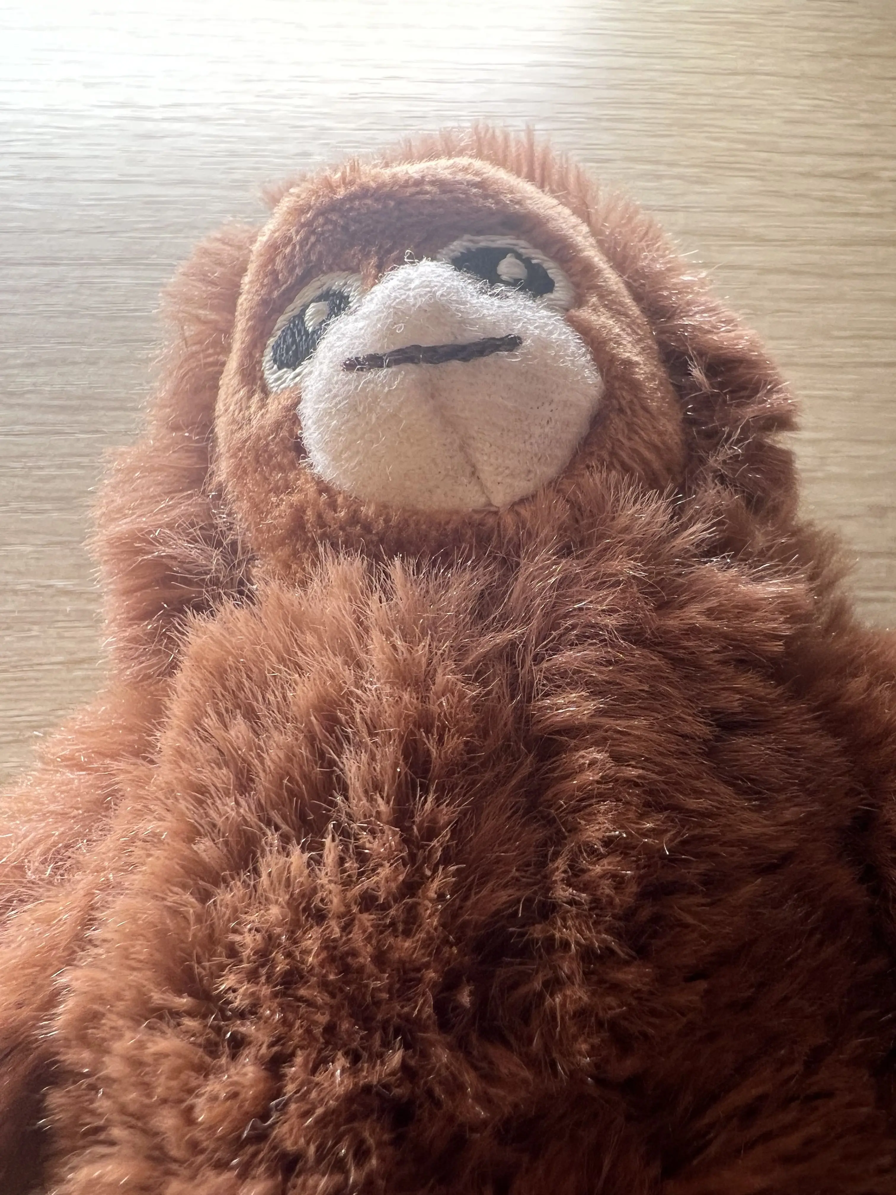 LiTAe의 [댄디의세계] 군대가는 메인들(?)