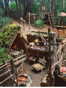 Wolf_Dragon의 Therian Summer Camp
