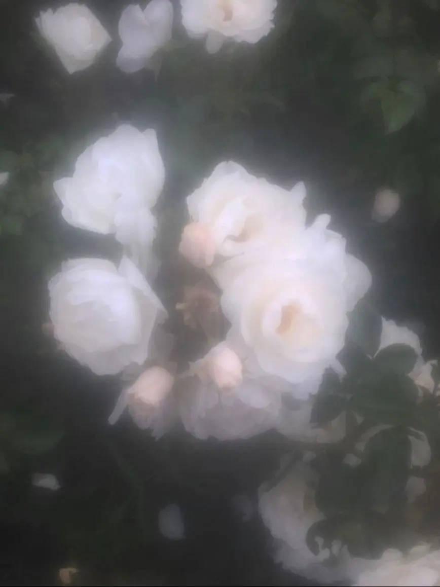 Hanjith의 한지성