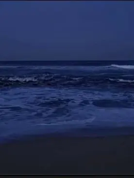 FruityEdit4089의 아, 망한건가ㅡ?