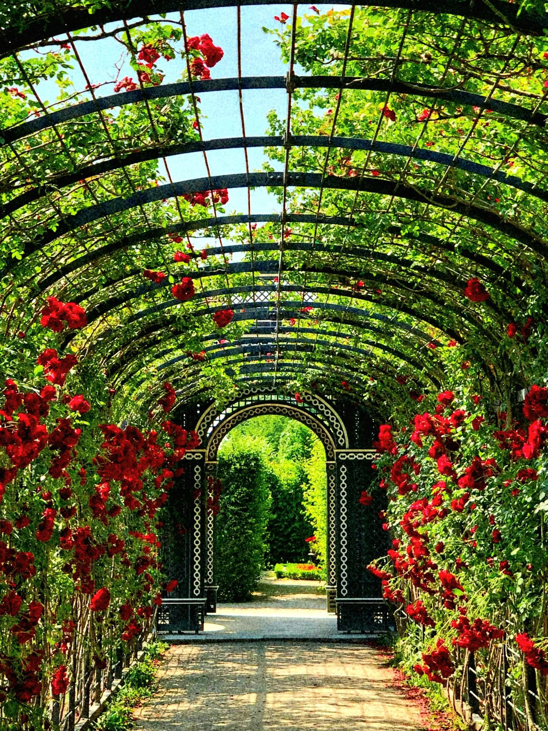 LastNight의 테오도르