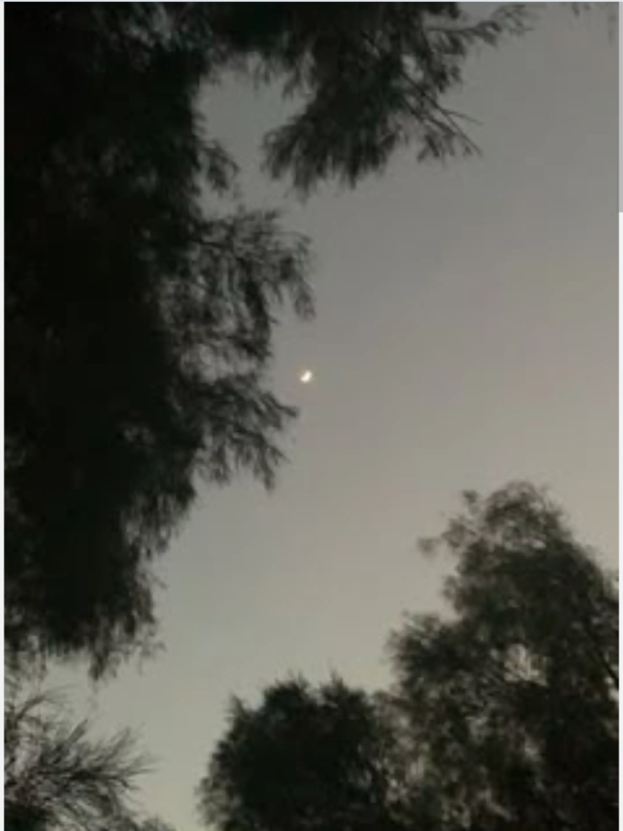 VitalVole5812의 7人 ノ イツメンに 魔法使い ＿?¿