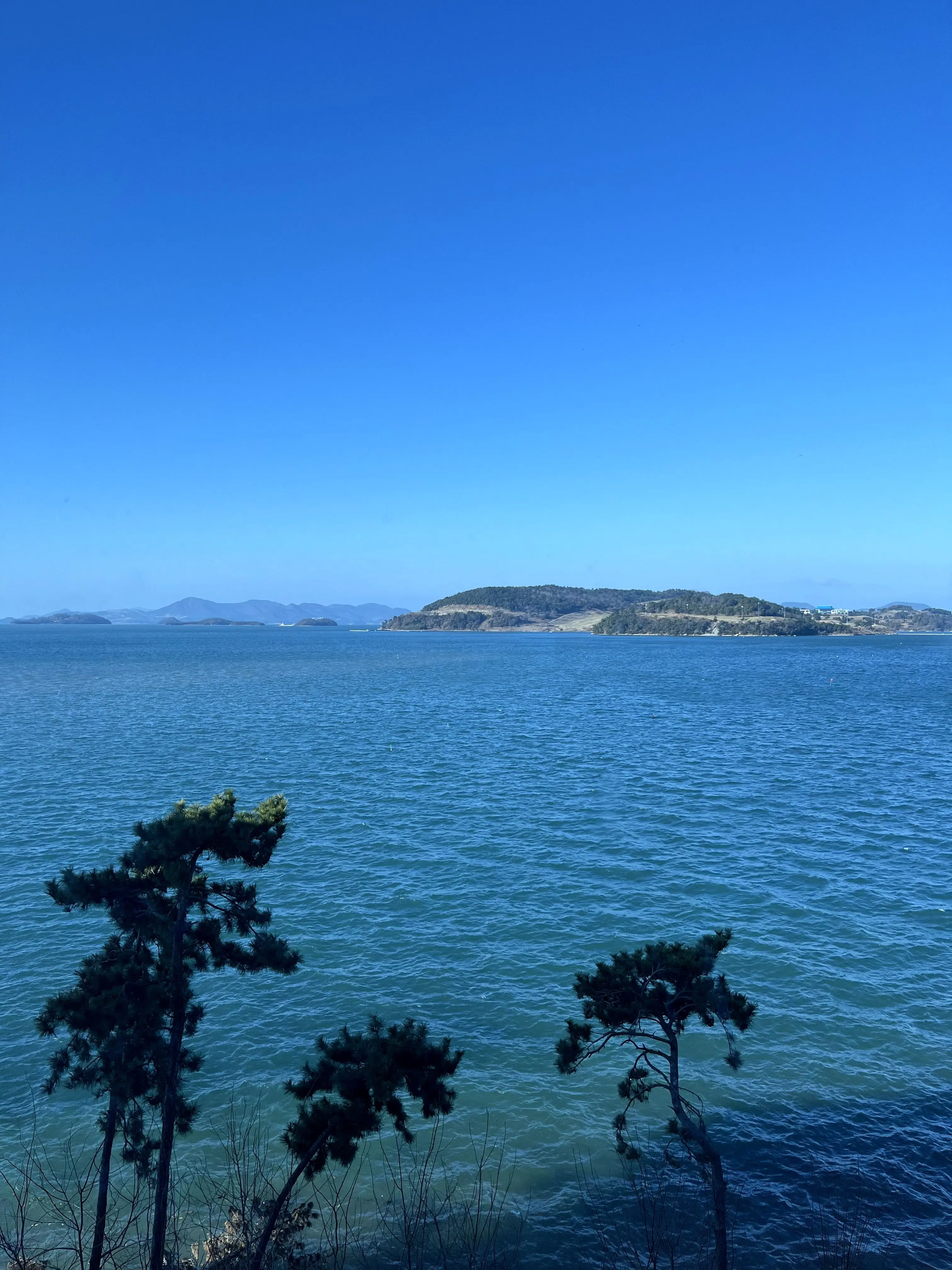 codmsdl5의 하츠투아츠 막내+여우