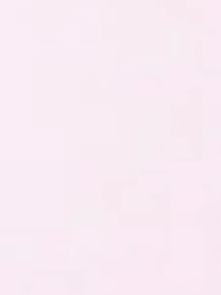 FineBrick9774의 玩具（大人の）