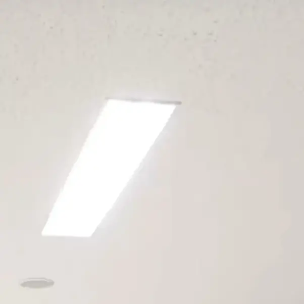 SAMUNG_LIONS의 체육쌤과 국어쌤