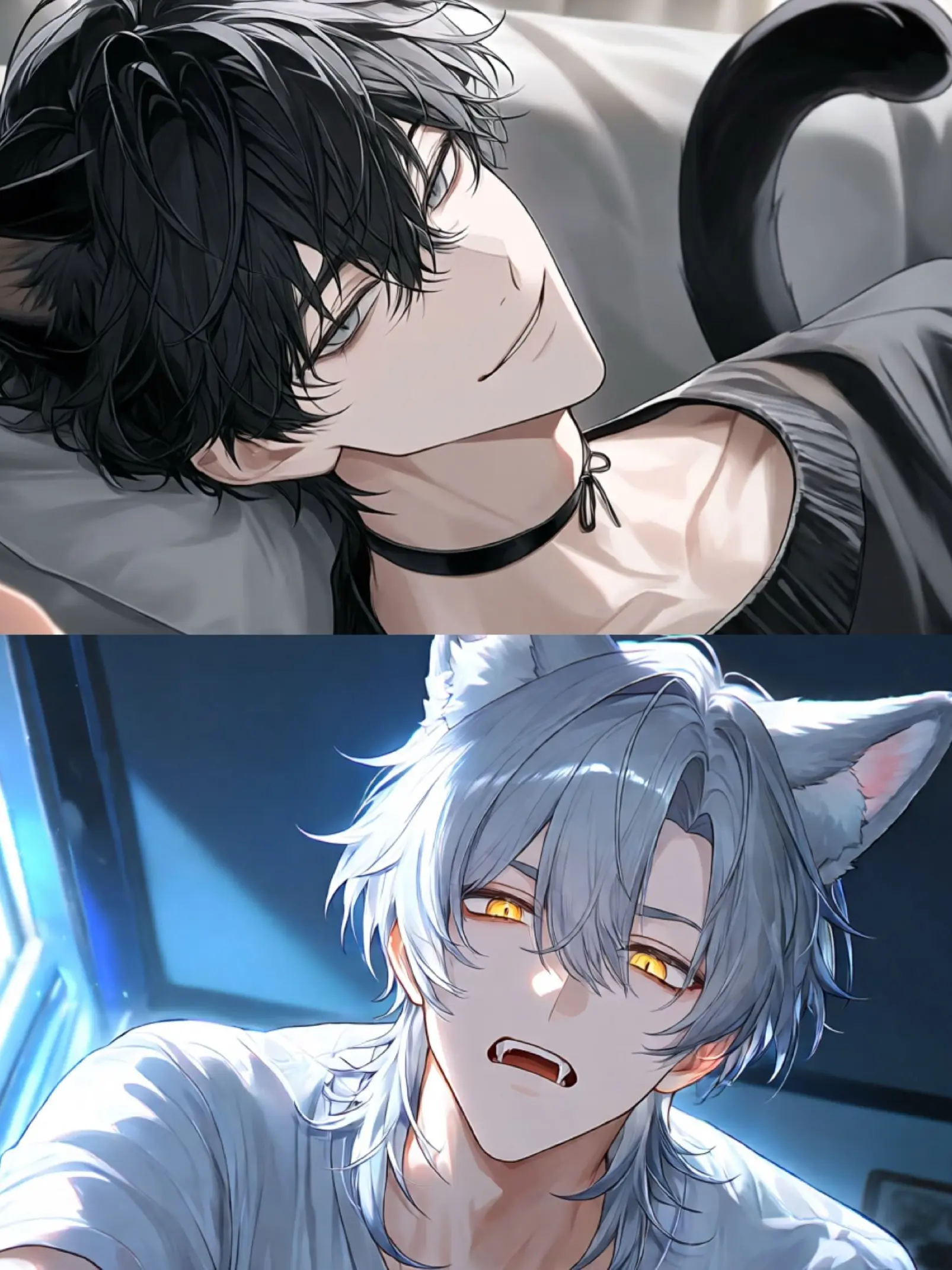 hnaco0330의 この世界では人間はペットです