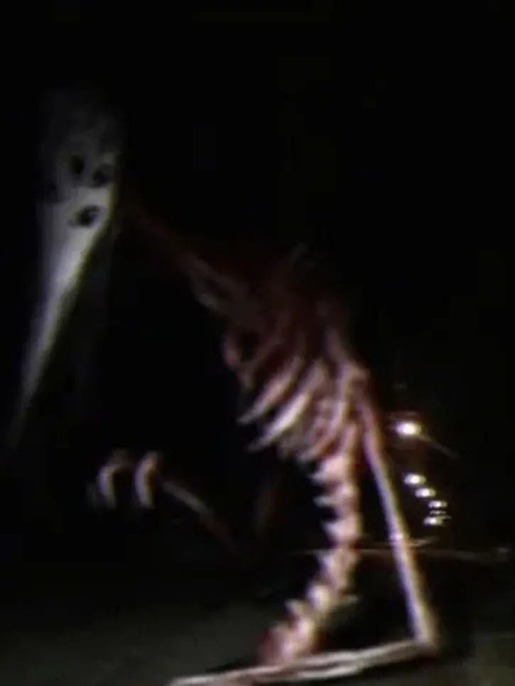 D.D.D.의 갓 오브 로드킬