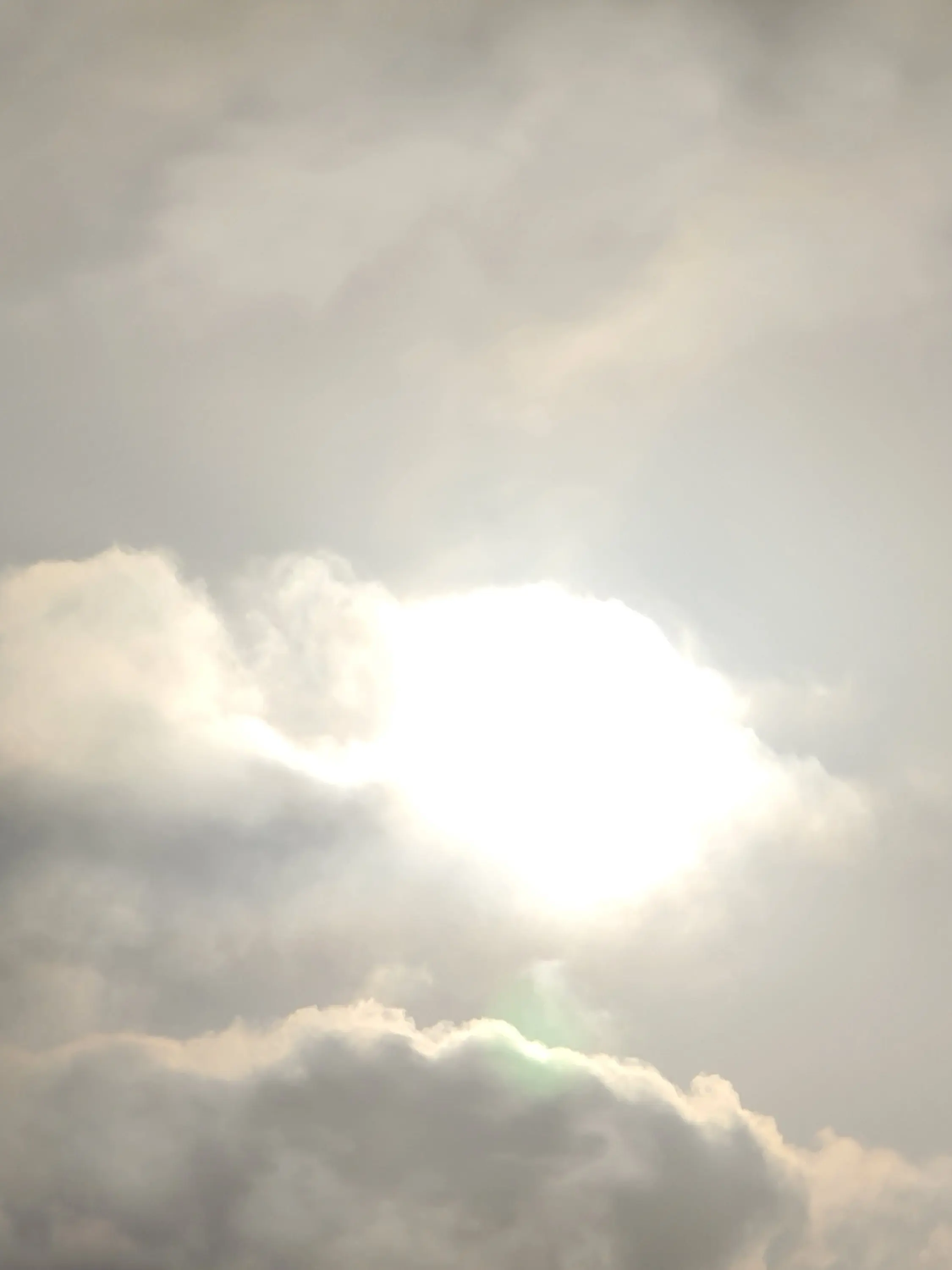 LeafyMap0583의 난 네가 행복했으면 좋겠어.