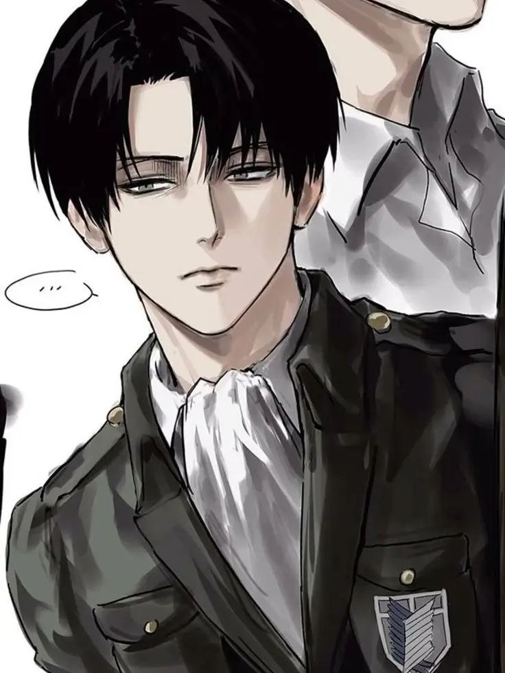 ian090116의 리바이 아커만