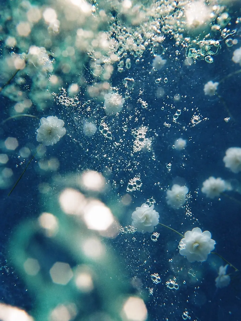 Biae의 𝑫𝒓𝒐𝒘𝒏𝒊𝒏𝒈