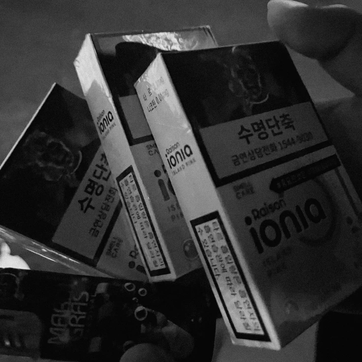 용감한 시민