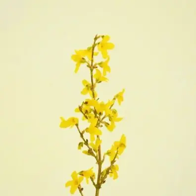 LiveSign0819의 김일영