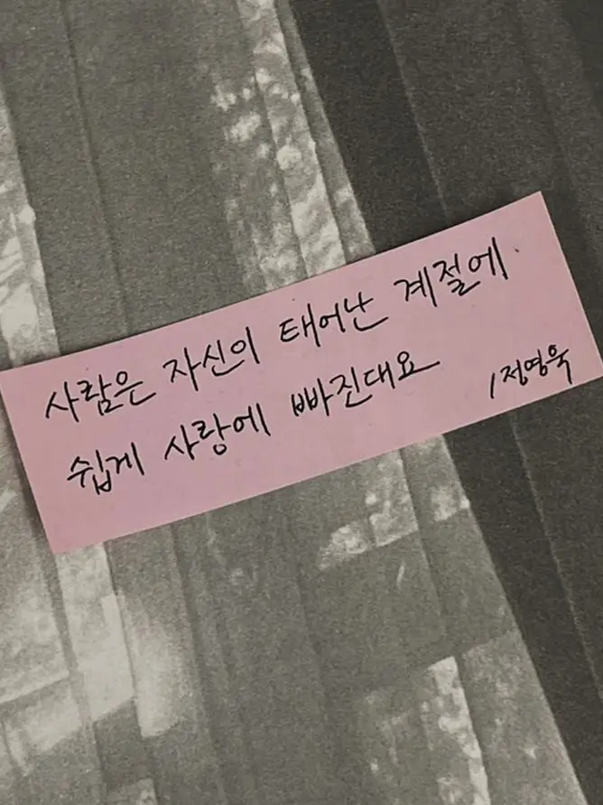 TainTain의 회피형보단 안정형이 좋소