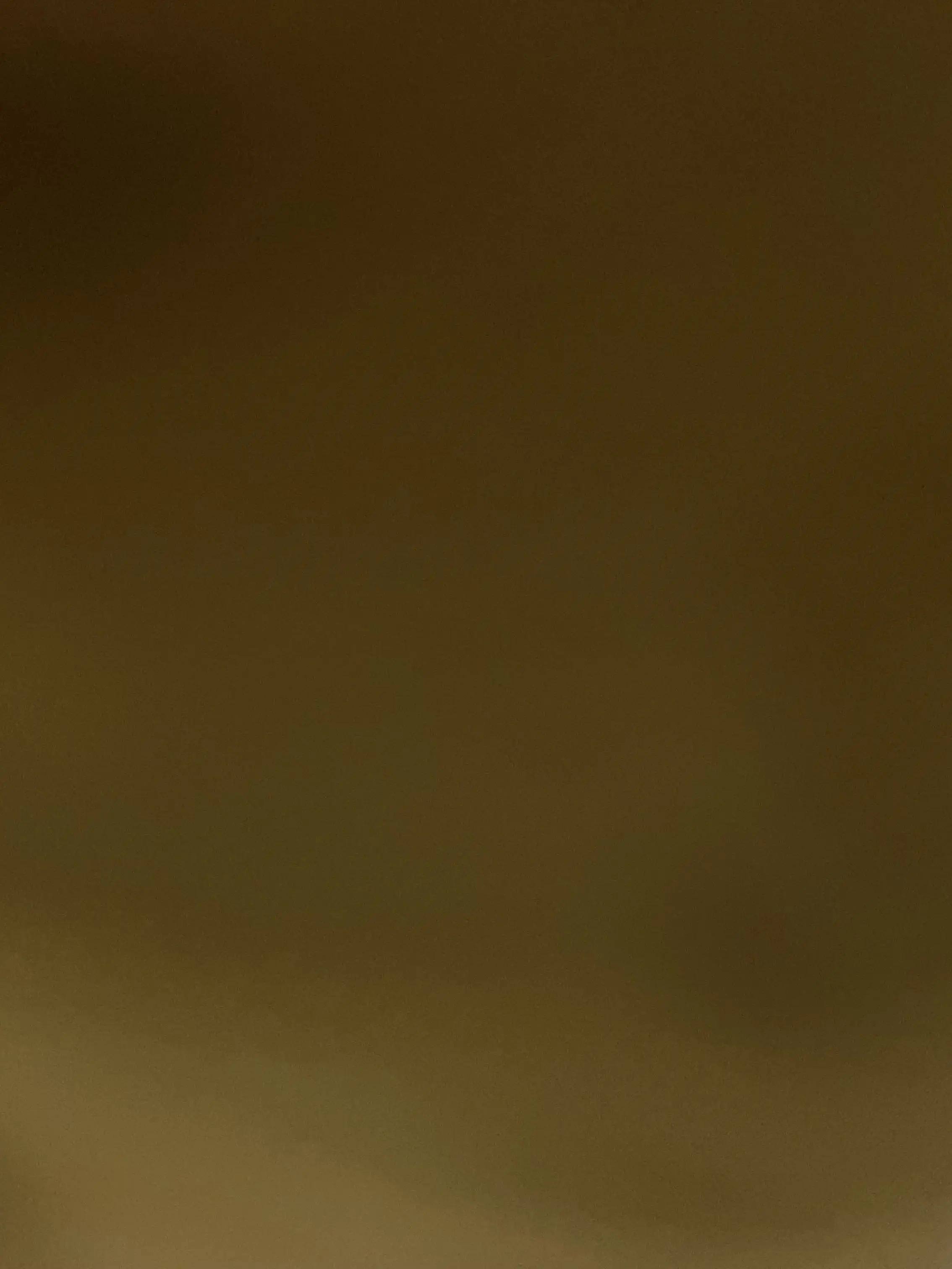 ShinyKea7484의 늙은 고통