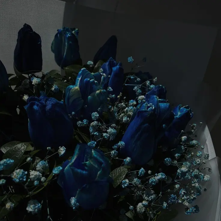 WoW._.www0-0의 💙