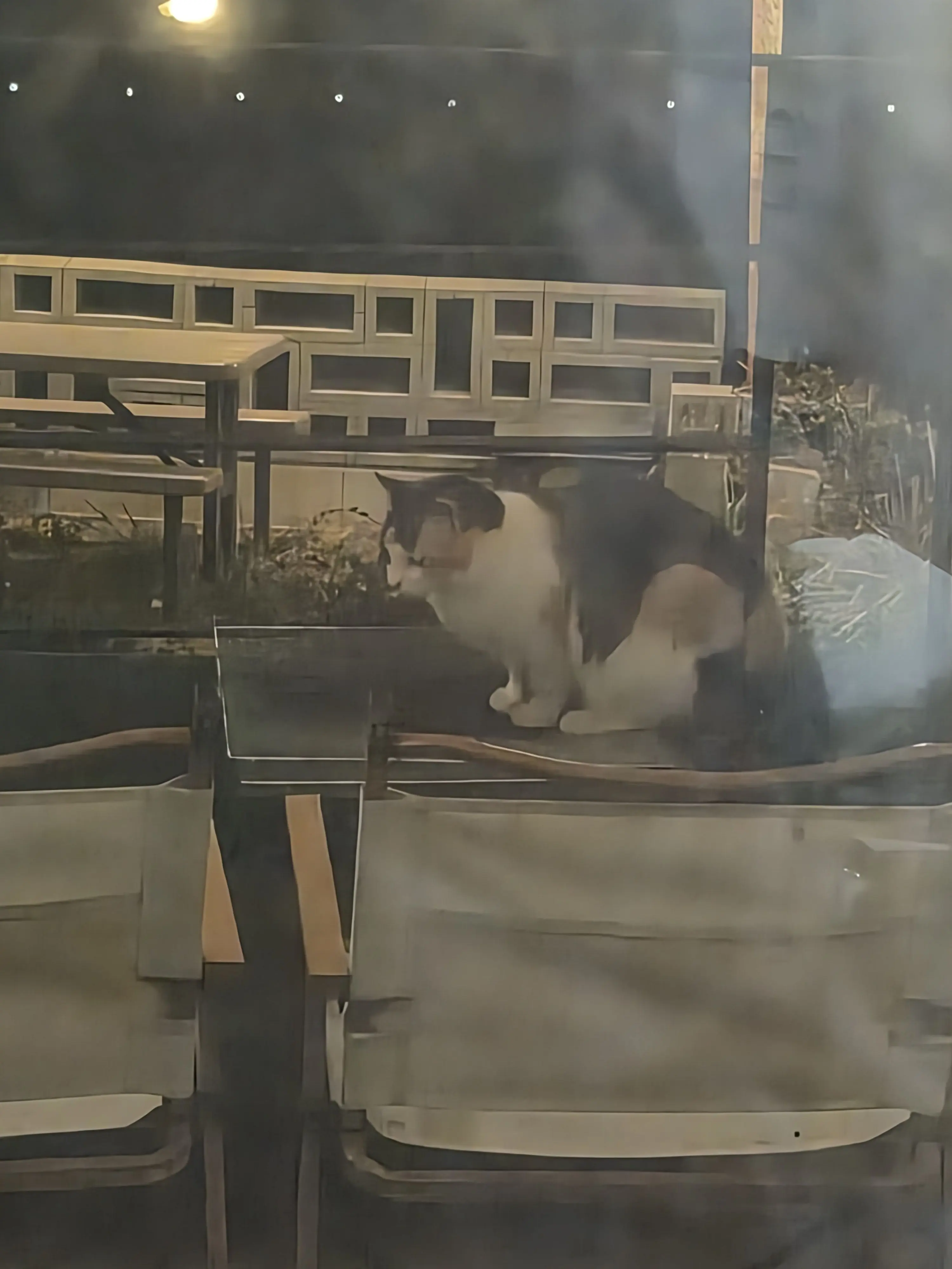 hehe_e의 행복. ※리레※