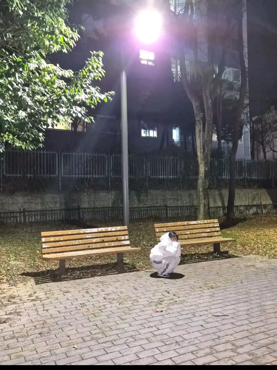 FoulViola4468의 🍖갈비탕🍖