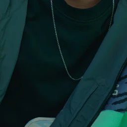 금성제