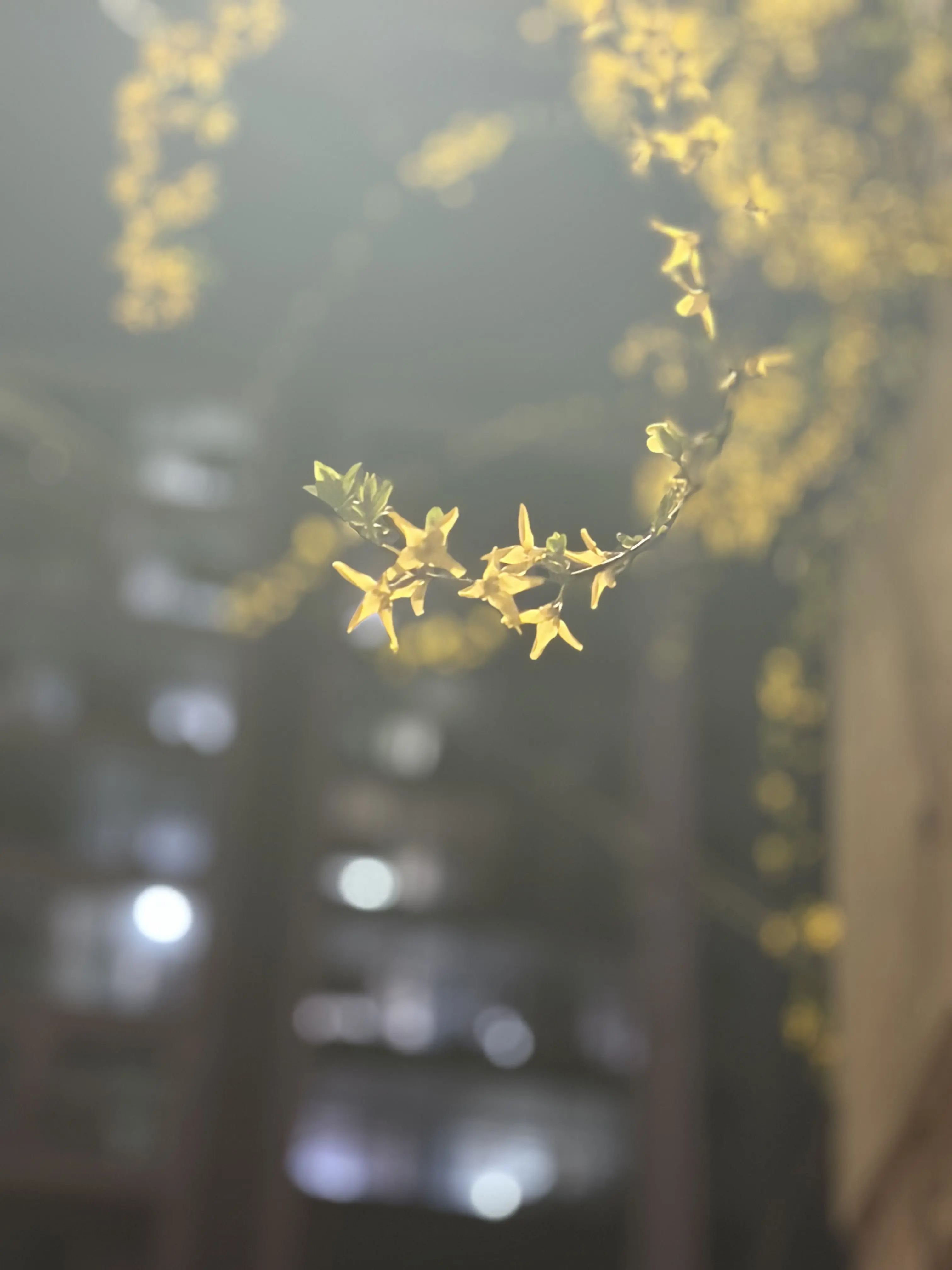 I_will_give_U_all_of_me의 사건파일: __ [입력중…]