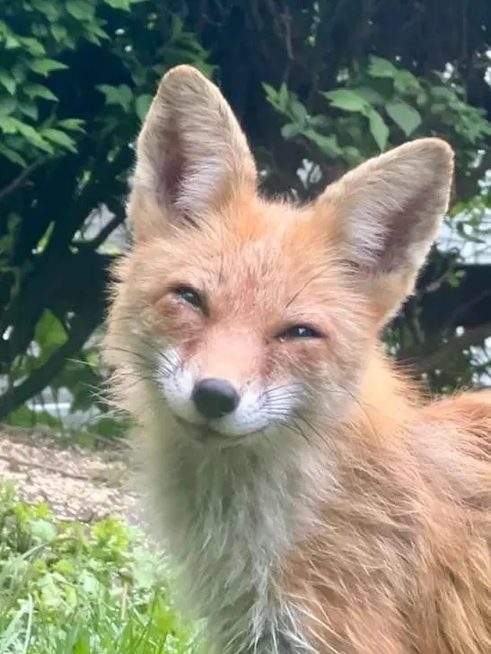 PutridThumb1613의 남녀무리