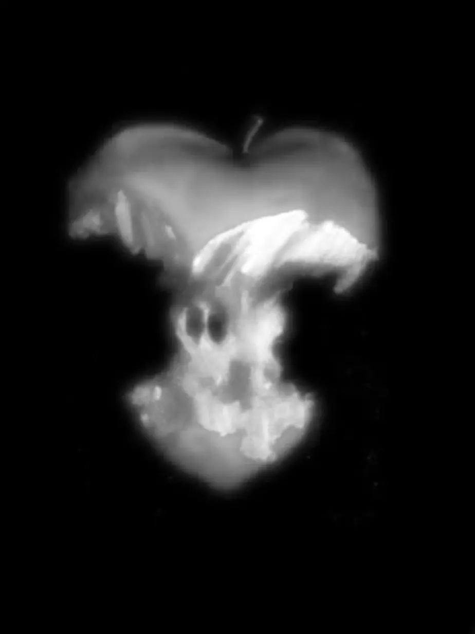 g00ng_3ack의 Oh, Amoré…