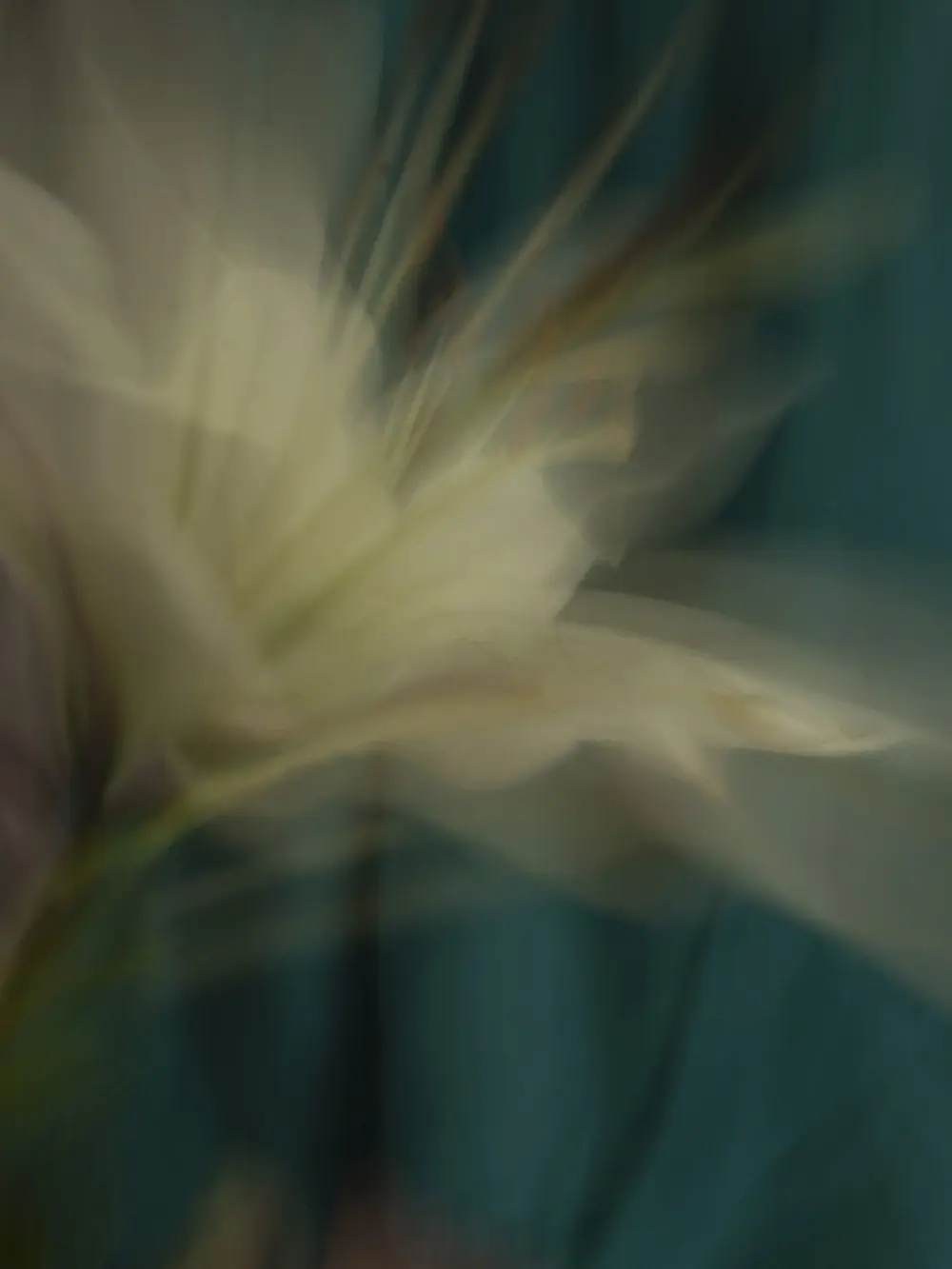 decadent.romantic의 ­­ ­­