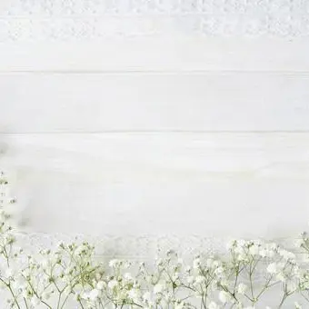 TestyVase5464의 政略結婚