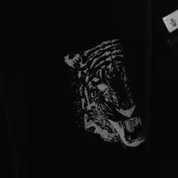 Jaguar_의 연합.