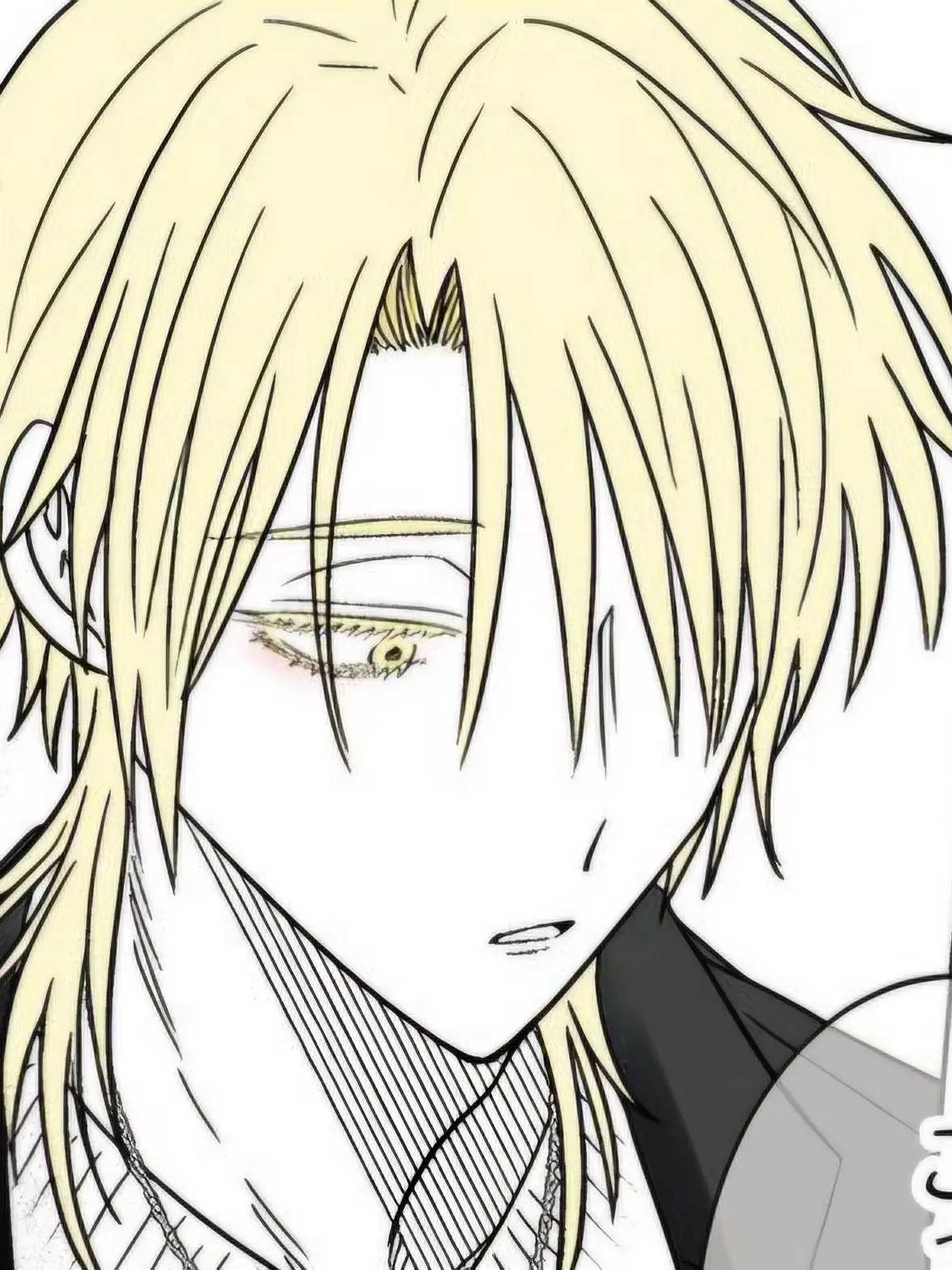 ccccch318의 [月夜 ノア]