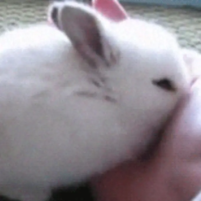 DryFlask8061의 '귀엽네'